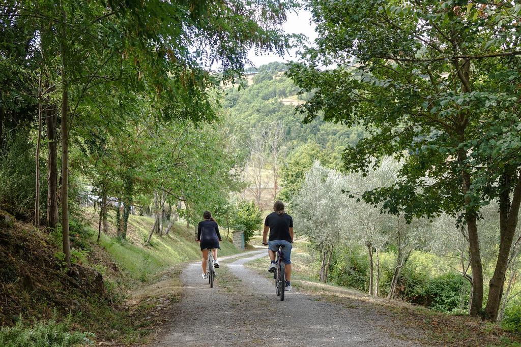 Agriturismo Montelovesco Brunetta Esterno foto