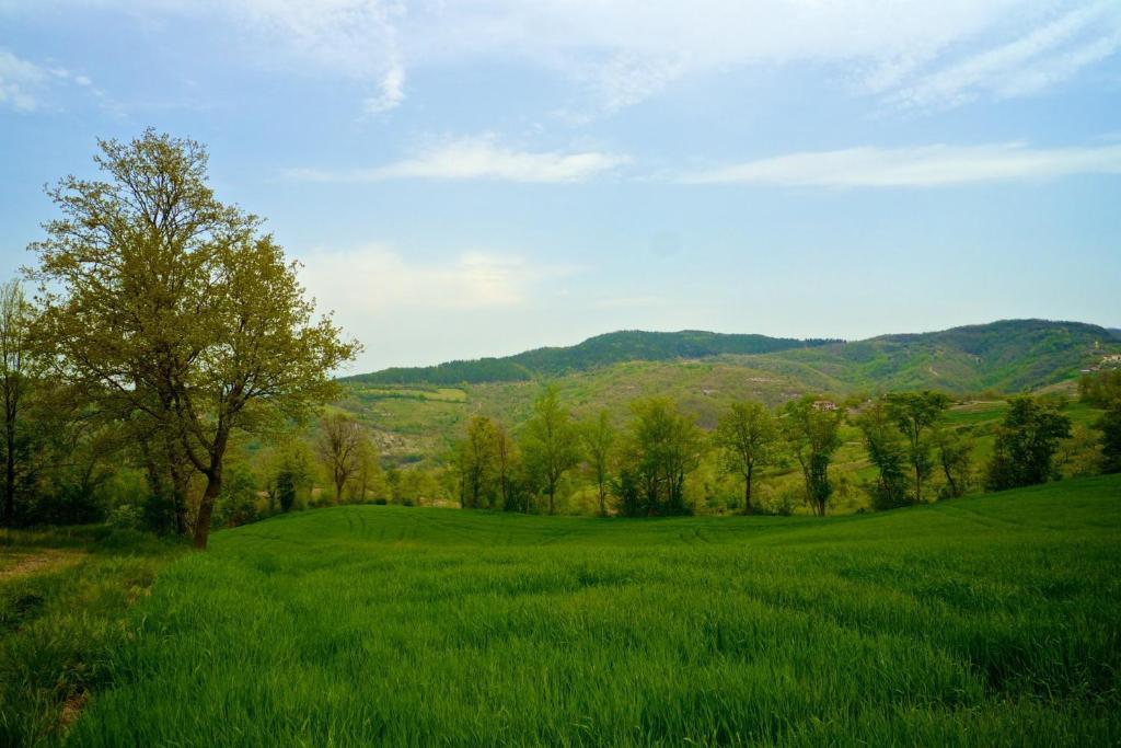 Agriturismo Montelovesco Brunetta Esterno foto