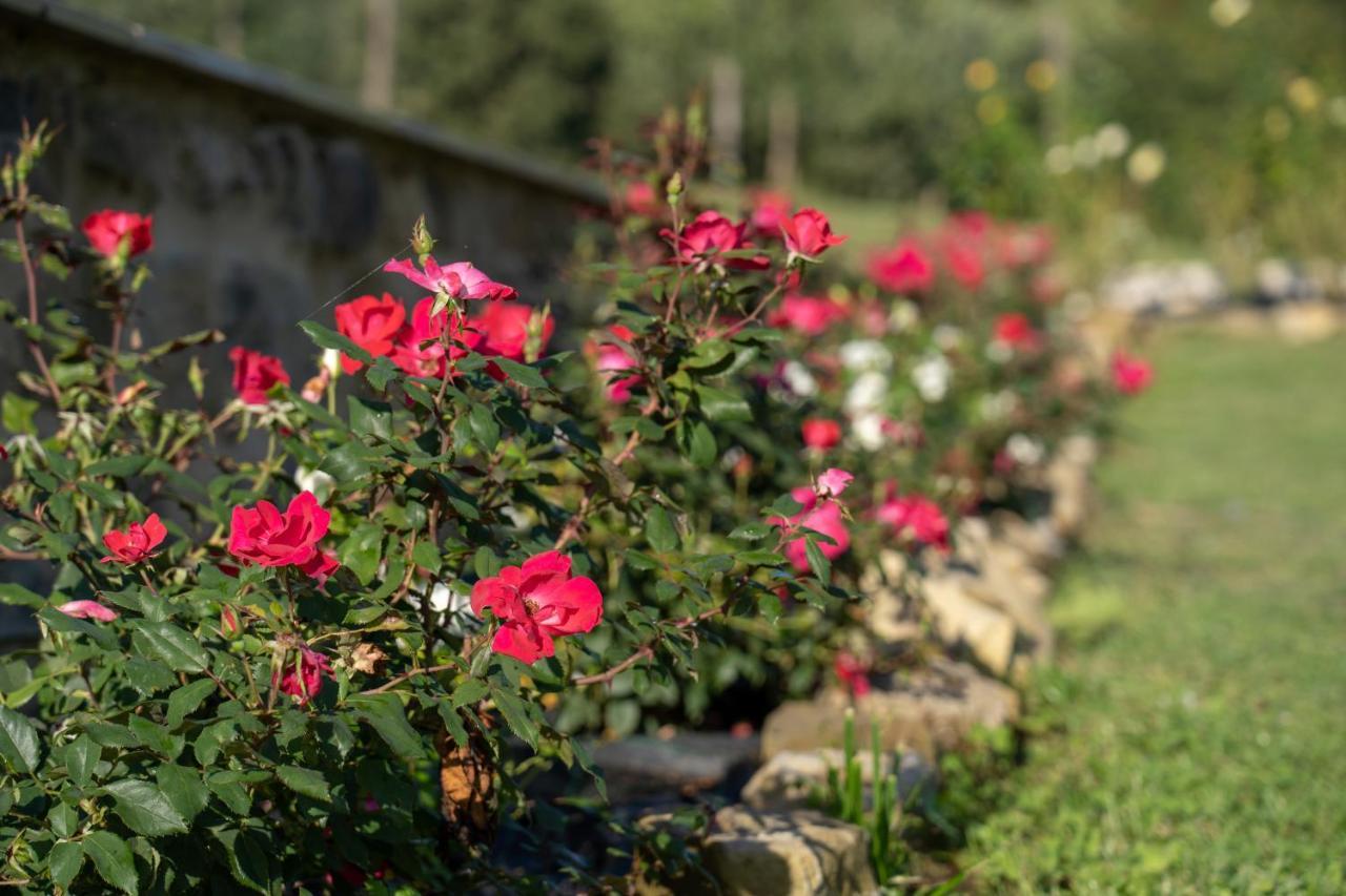 Agriturismo Montelovesco Brunetta Esterno foto
